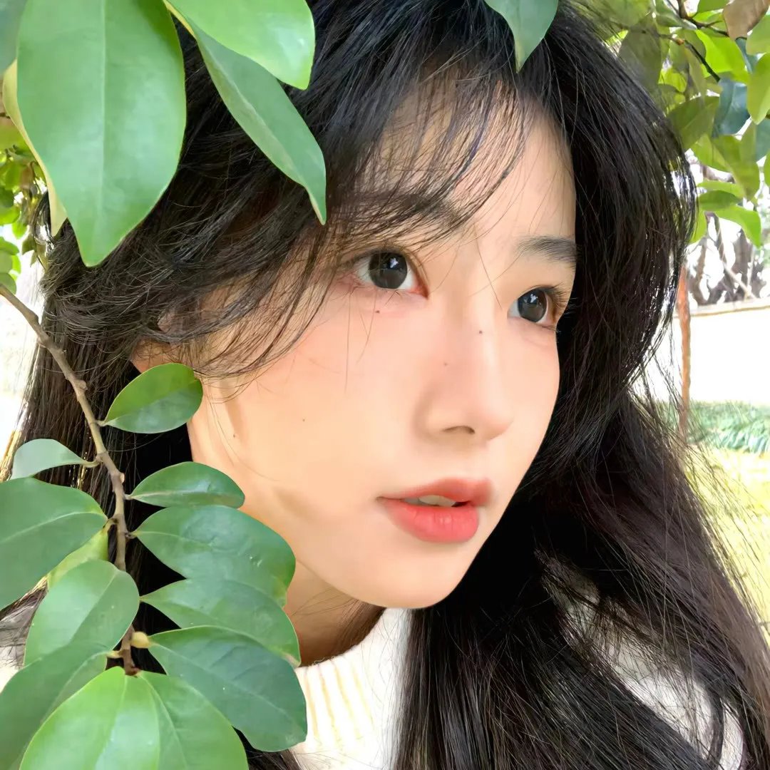 雪国列车(剧版)第一季